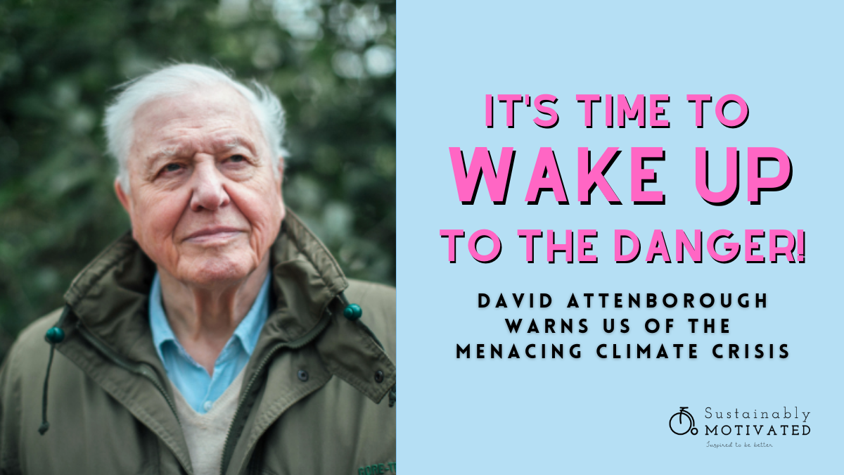Environment Warrior David Attenborough