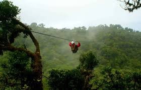 Monteverde Cloud Forest