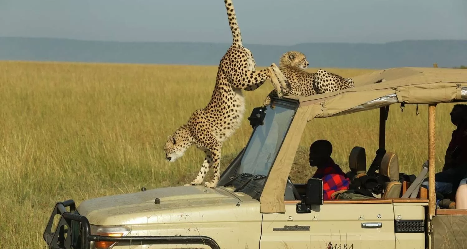 Maasai Mara