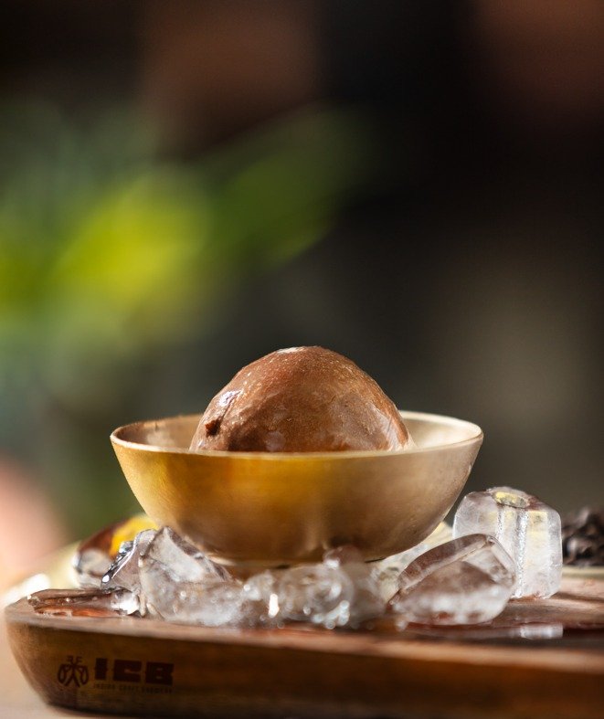 Malt Chocolate Ice Cream