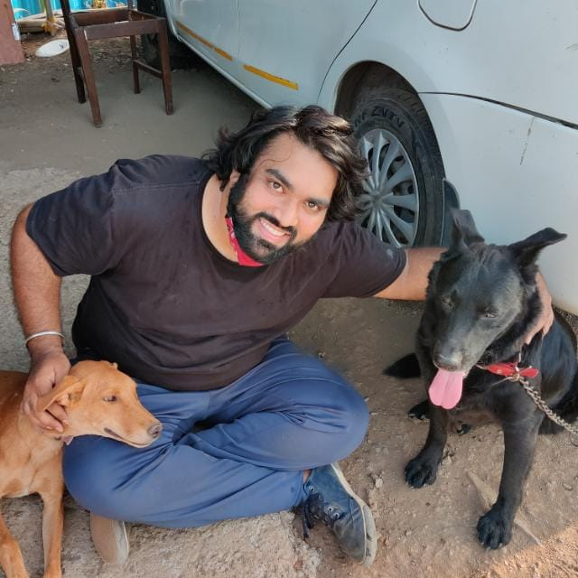 strays