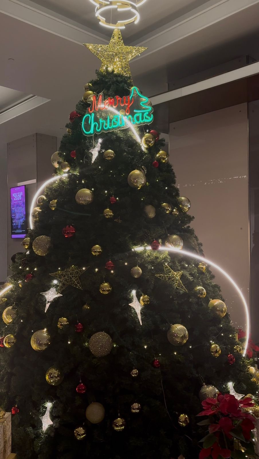 Novotel Outer Ring Road Bengaluru Christmas tree lighting