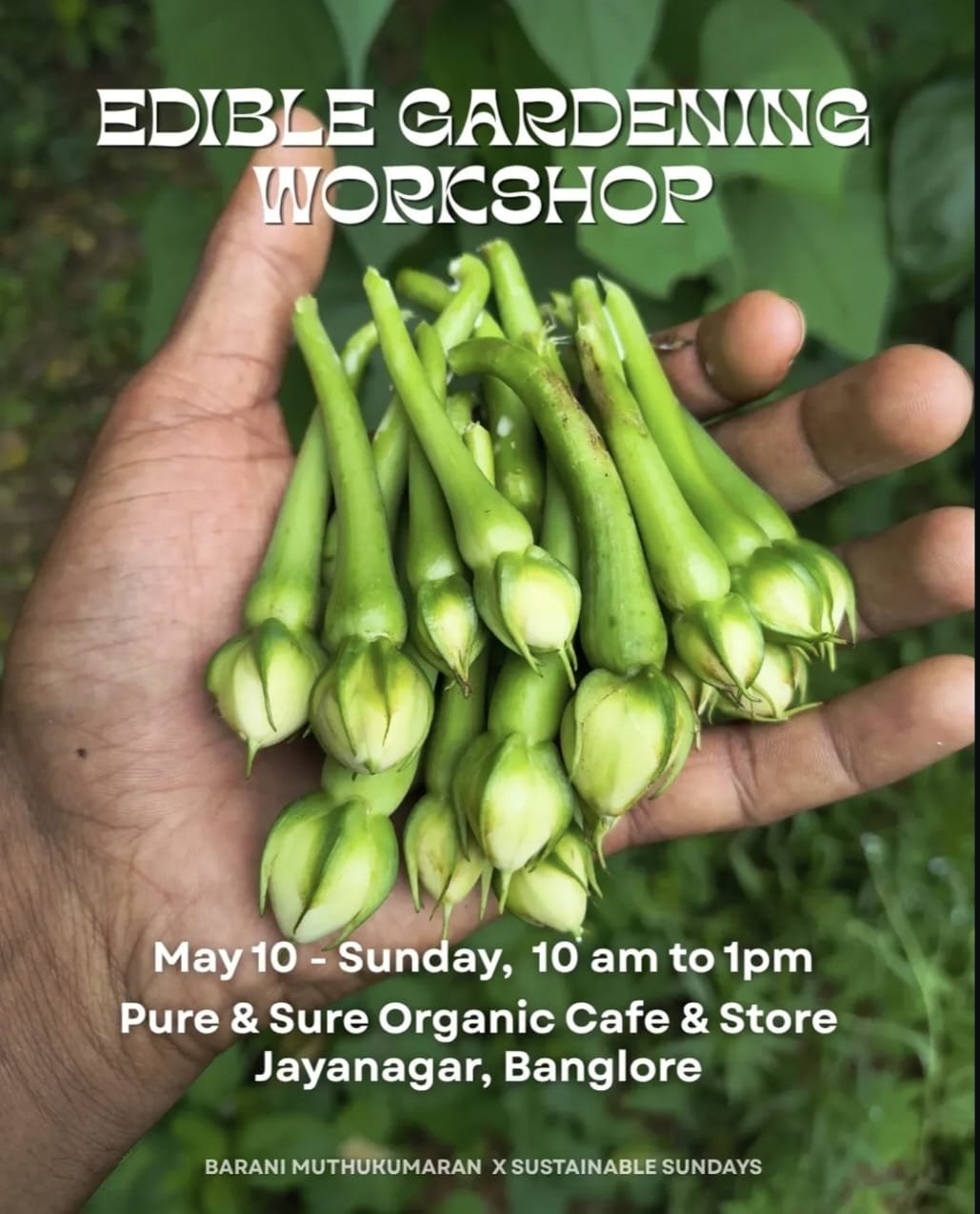 Pure & Sure Organic Cafe & Store