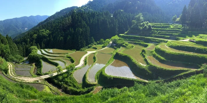 1_ns5hhvO6pg_lRWBqbKTdgw